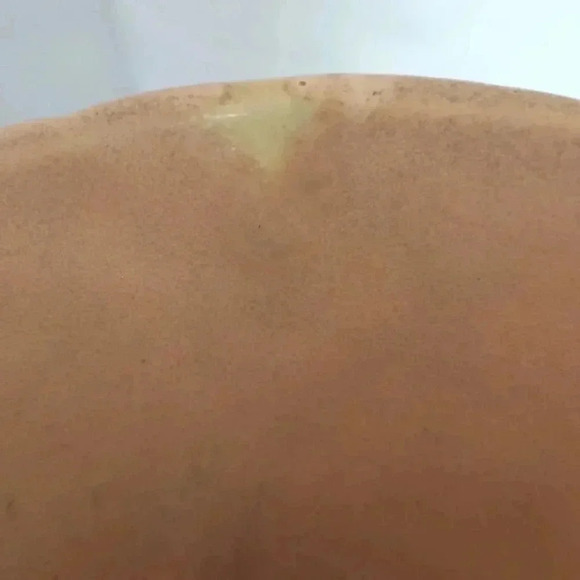 Vintage pair of Weller dogwood vases - Picture 7 of 9